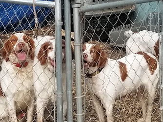 Affordable Pet Day Clinic