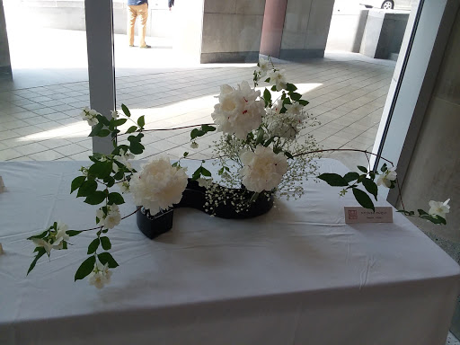 Art Museum «Seattle Art Museum», reviews and photos, 1300 1st Ave, Seattle, WA 98101, USA