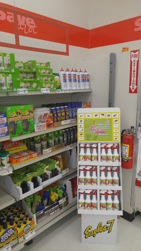 Grocery Store «Save-A-Lot», reviews and photos, 934 E Church St, Jasper, GA 30143, USA