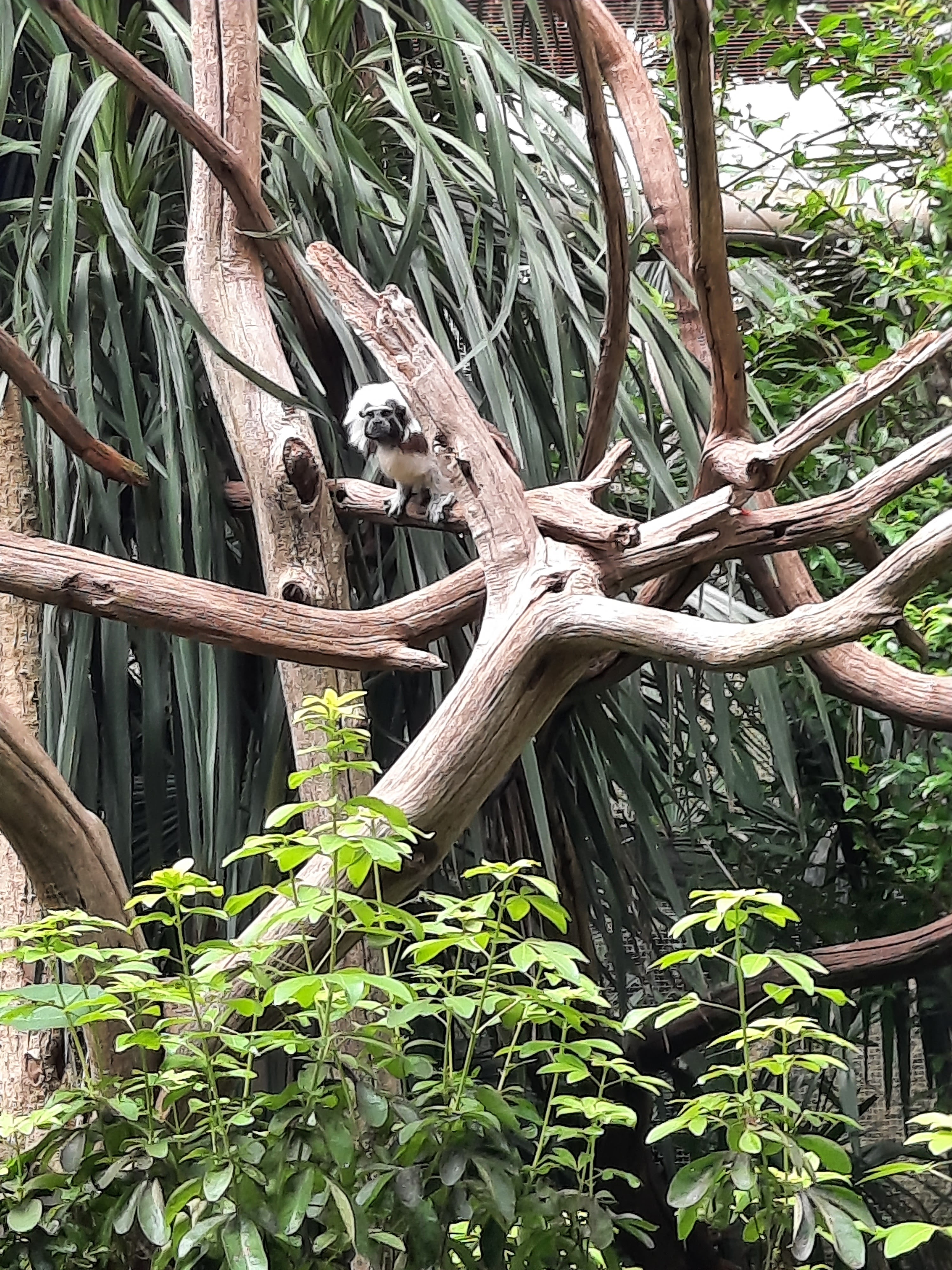 Photo n° 3 de l'avis de Gwen.i fait le 08/08/2023 à 13:19