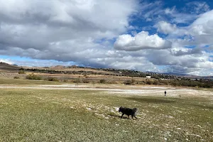 Rancho San Rafael Off-Leash Dog Park image