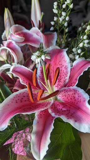 Florist «Chelsea Village Flowers», reviews and photos, 112 E Middle St, Chelsea, MI 48118, USA