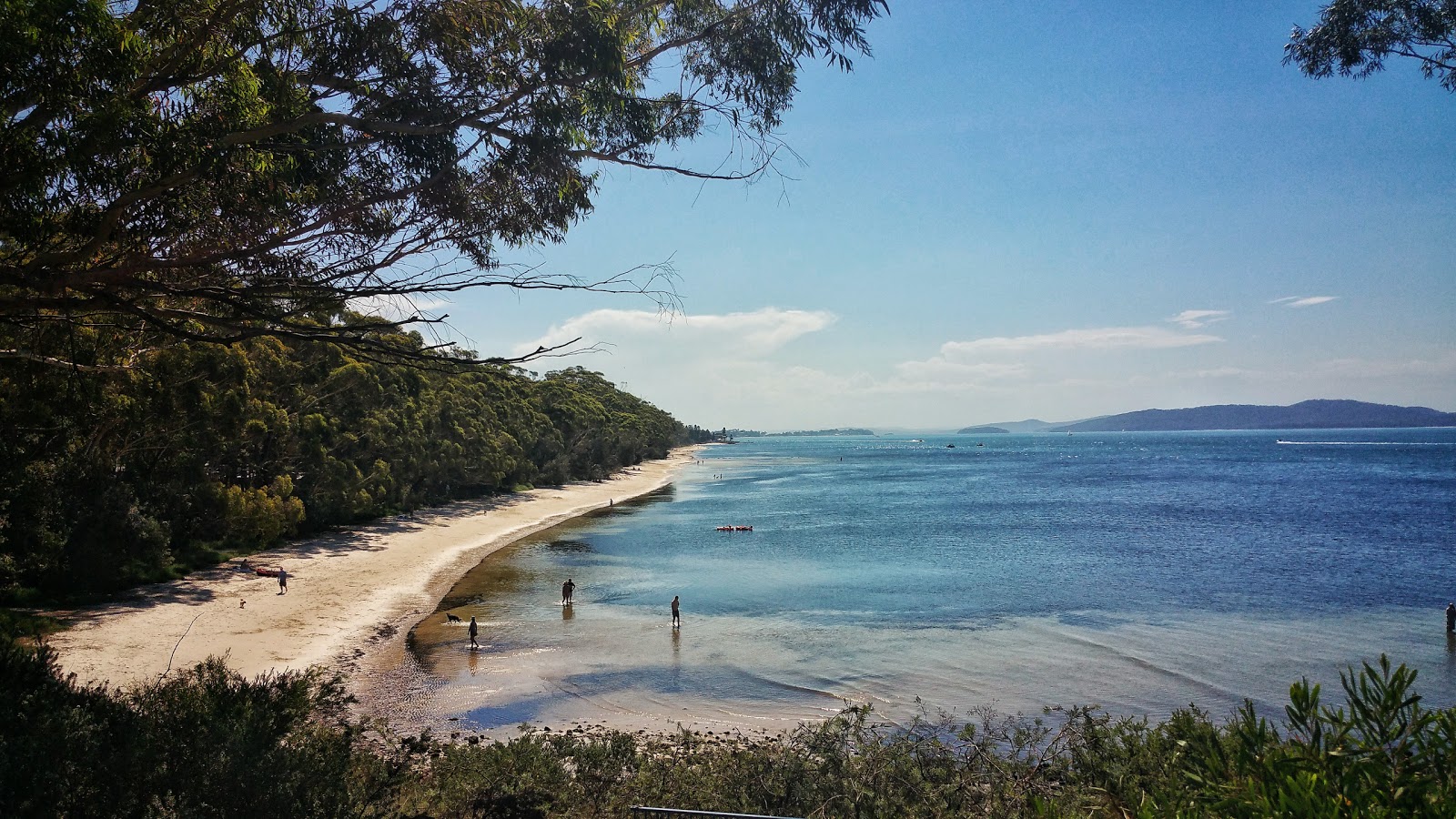 Foto von Bagnalls Beach - guter haustierfreundlicher Ort für den Urlaub