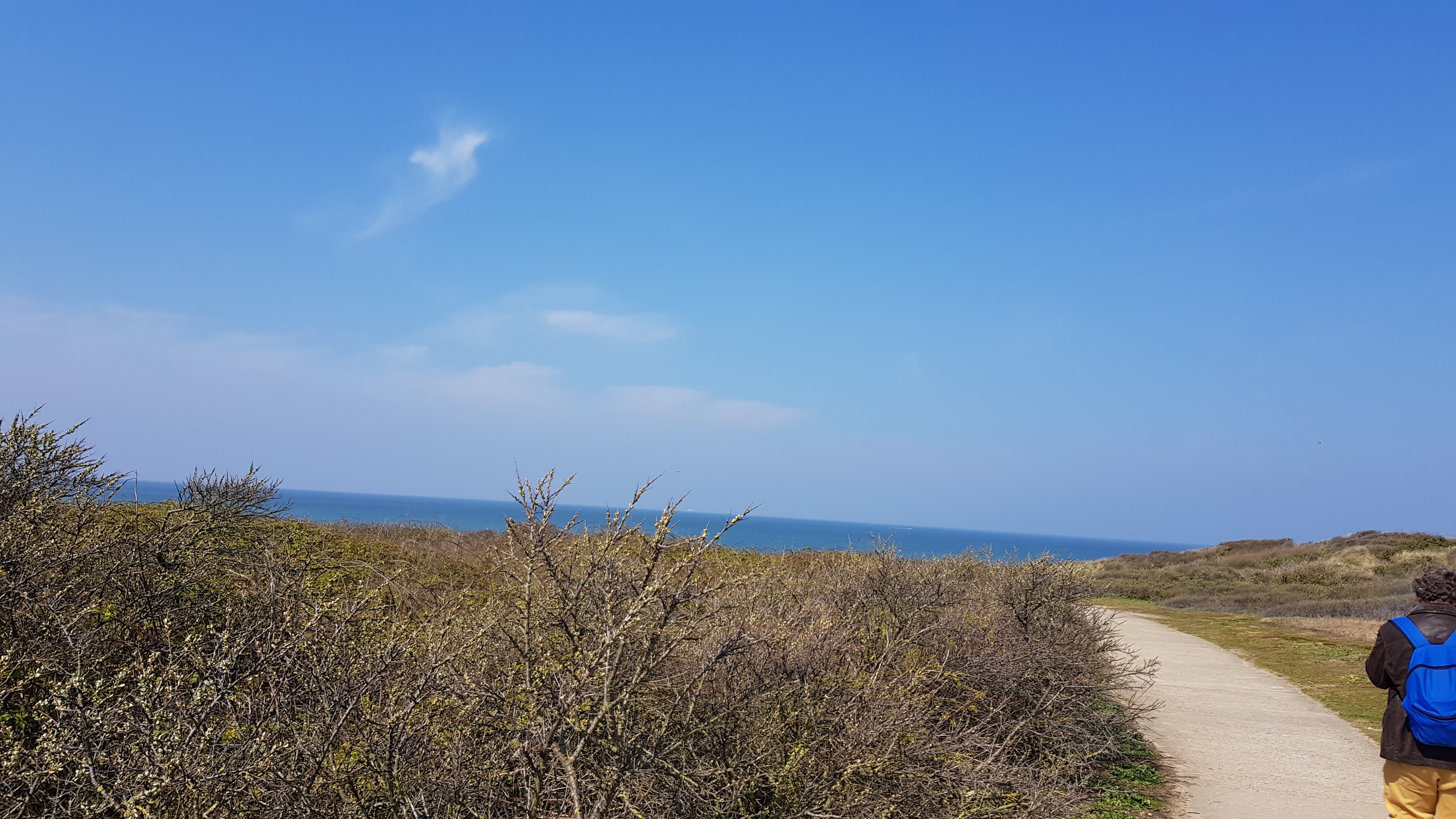 Photo n° 4 de l'avis de Lidia.o fait le 18/04/2019 à 06:09