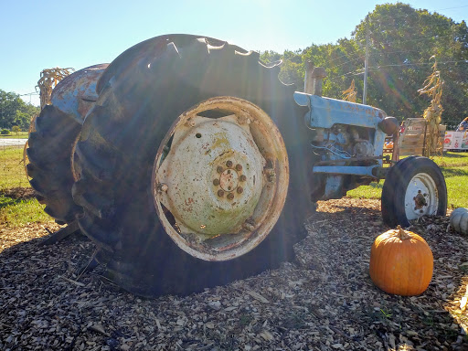 Farm «Warbington Farms (U-Pick Strawberries)», reviews and photos, 5555 Crow Rd, Cumming, GA 30041, USA