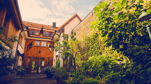 Tierarztpraxis Münzenberg unter Münzenberg, 