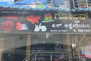 Golden fish aquarium Bijapur image