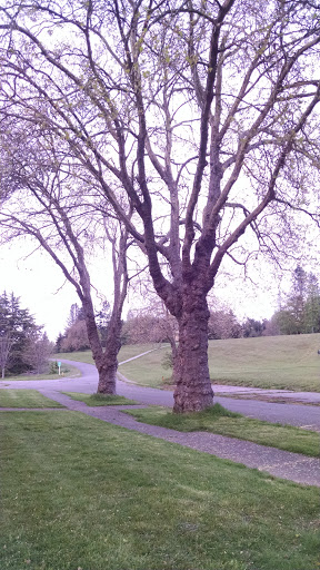 Park «Discovery Park», reviews and photos, 3801 Discovery Park Blvd, Seattle, WA 98199, USA