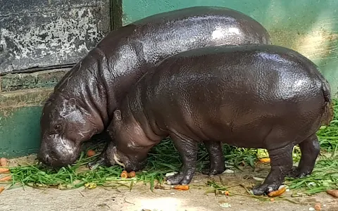 Dehiwala Zoological Gardens image