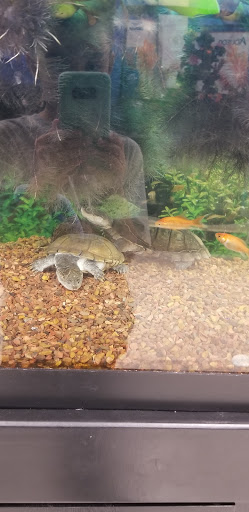 Pet Supply Store «PetSmart», reviews and photos, 7765 Airport Blvd #901, Mobile, AL 36608, USA