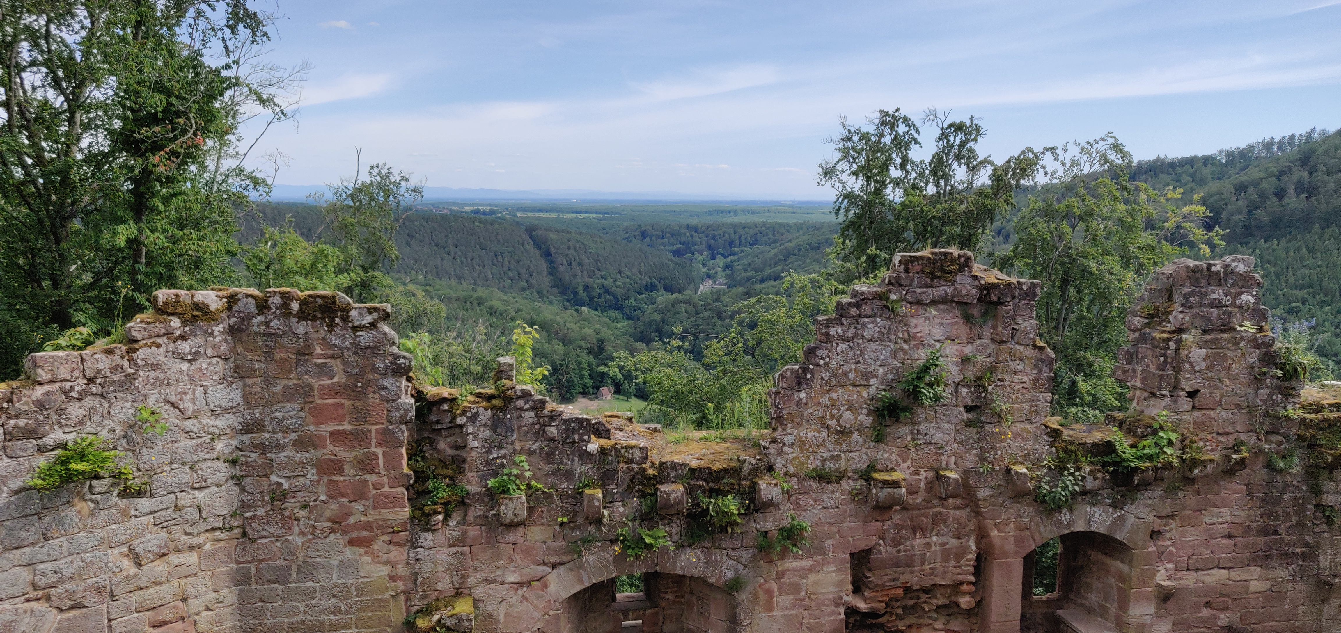 Photo n° 3 de l'avis de Pein. fait le 31/05/2020 à 16:05