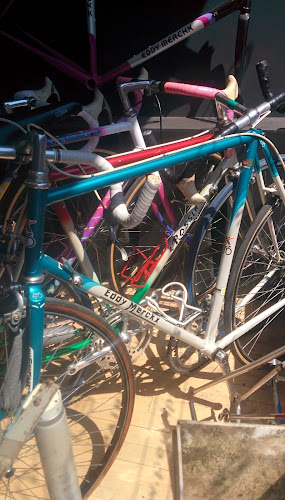 Reviews of Pedal Pedlar in London - Bicycle store