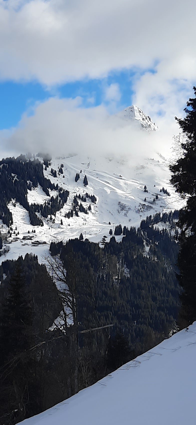 Photo n° 1 de l'avis de Marie.e fait le 22/01/2022 à 14:09