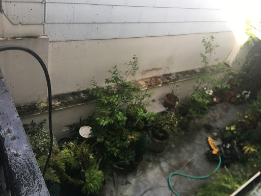 Cleaning Service «M & J Cleaning Services», reviews and photos, 122 Shawnee Ave, San Francisco, CA 94112, USA