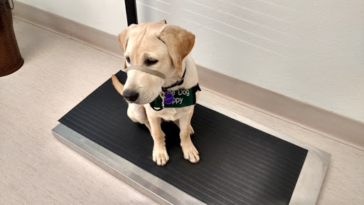 1655 N Mountain Ave # 110, Upland, CA 91784, USA