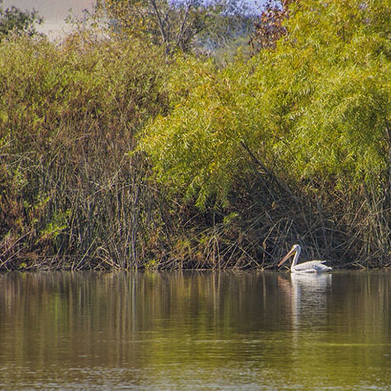 San Joaquin Marsh Wildlife Sanctuary