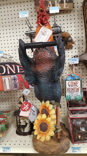 Home Improvement Store «Tractor Supply Co.», reviews and photos, 3330 US-80, Dudley, GA 31022, USA