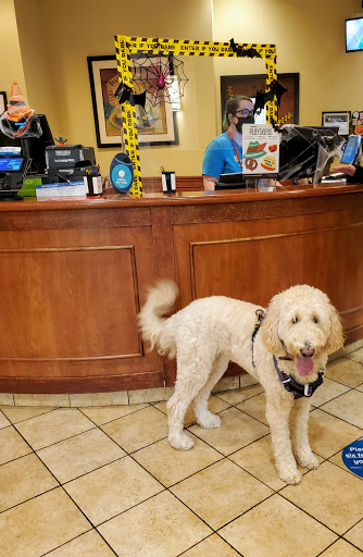 Pet Supply Store «PetSmart», reviews and photos, 9277 159th St, Orland Hills, IL 60487, USA