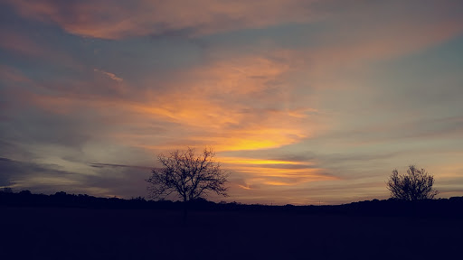 Gift Shop «Dinosaur Valley State Park Store», reviews and photos, 1629 Park Rd 59, Glen Rose, TX 76043, USA