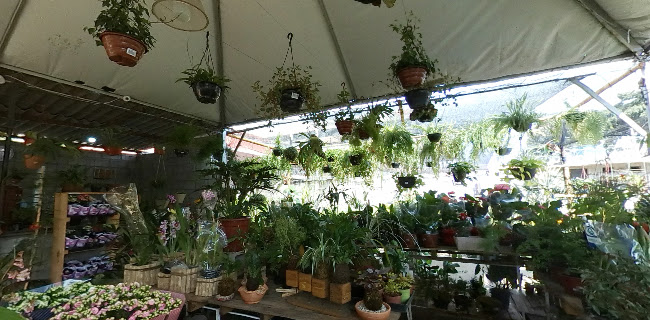 Vale Flora