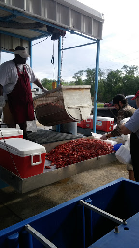 Motorcycle Parts Store «Performance Powersports», reviews and photos, 1816 Martin Luther King Blvd, Houma, LA 70360, USA