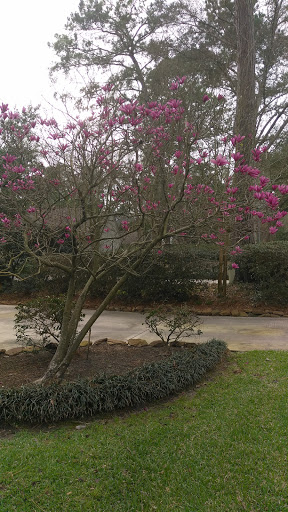 Golf Course «The Clubs of Kingwood - Kingwood Clubhouse», reviews and photos, 1700 Lake Kingwood Trail, Kingwood, TX 77339, USA