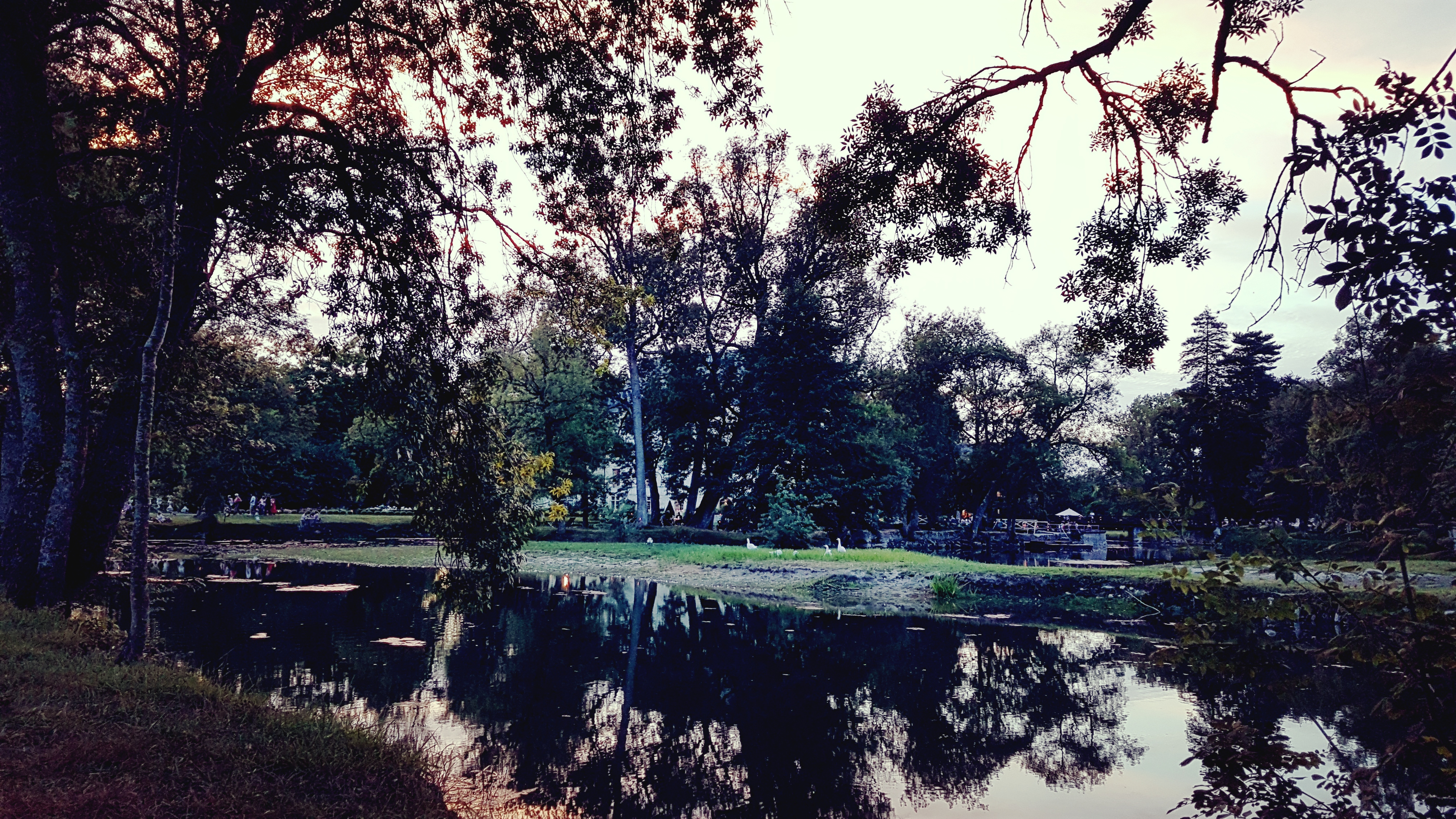 Photo n° 2 de l'avis de clémence.e fait le 16/08/2017 à 20:53