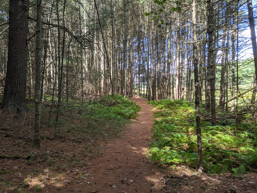 Museum «Dorflinger Glass Museum», reviews and photos, 37 Suydam Dr, White Mills, PA 18473, USA