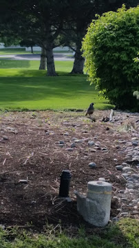 William Edelblute Attorney at Law PLLC - Photo 2 - Car repair in Kennewick, WA, Kennewick