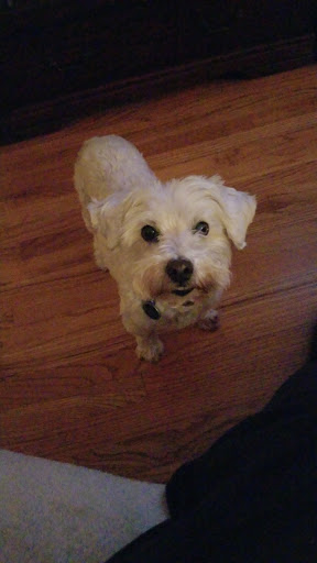 Pet Supply Store «Centinela Feed & Pet Supplies», reviews and photos, 4700 Pacific Coast Hwy, Long Beach, CA 90804, USA