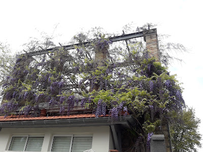 Les Jardins d'Eden à Arcachon