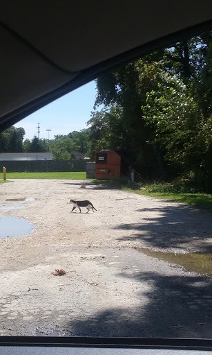 Lounge «Tempo Lounge», reviews and photos, 402 Back River Neck Rd, Essex, MD 21221, USA