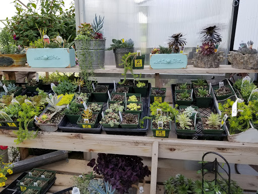 Produce Market «Kroul Farms», reviews and photos, 245 IA-1, Mt Vernon, IA 52314, USA