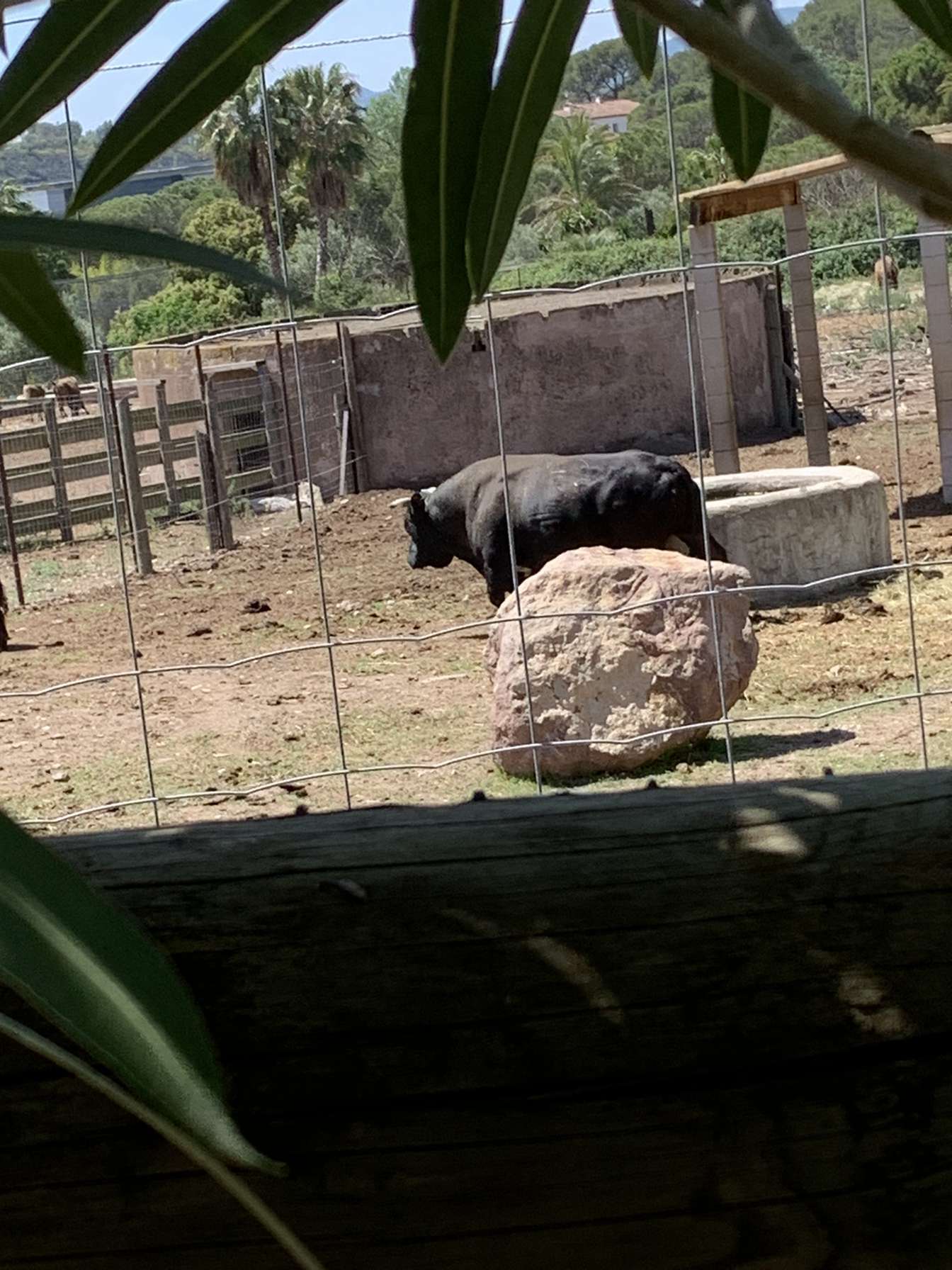 Photo n° 8 de l'avis de gulia.a fait le 08/05/2023 à 12:48