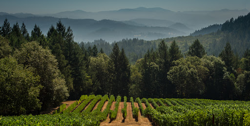 Schramsberg Vineyards