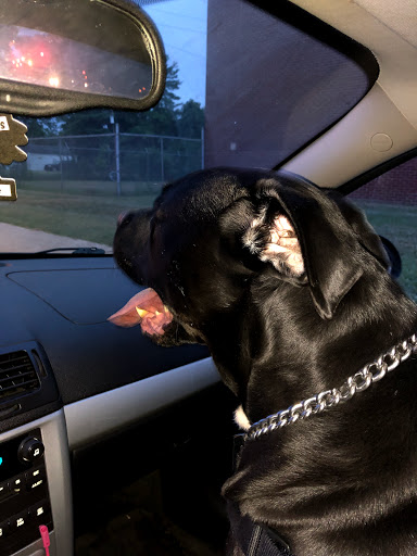 Pet Supply Store «Pet Supplies Plus», reviews and photos, 2202 S Bend Ave Suite 1, South Bend, IN 46635, USA