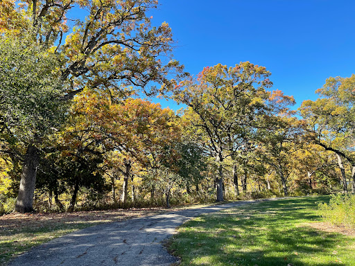 Art Center «Des Moines Art Center», reviews and photos, 4700 Grand Ave, Des Moines, IA 50312, USA