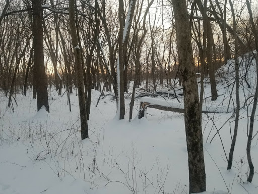 Nature Preserve «Knute Olson, Jr. Forest Preserve», reviews and photos, 12595 Base Line Rd, Kingston, IL 60145, USA