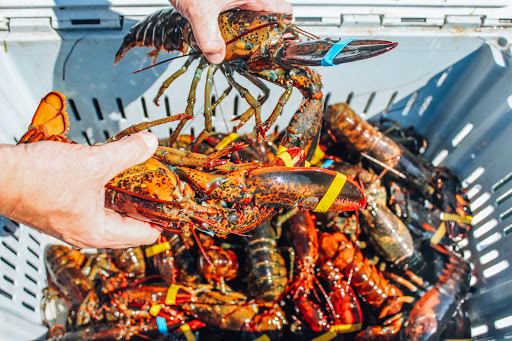 Bar & Grill «Mile Marker One Restaurant & Bar», reviews and photos, 75 Essex Ave, Gloucester, MA 01930, USA