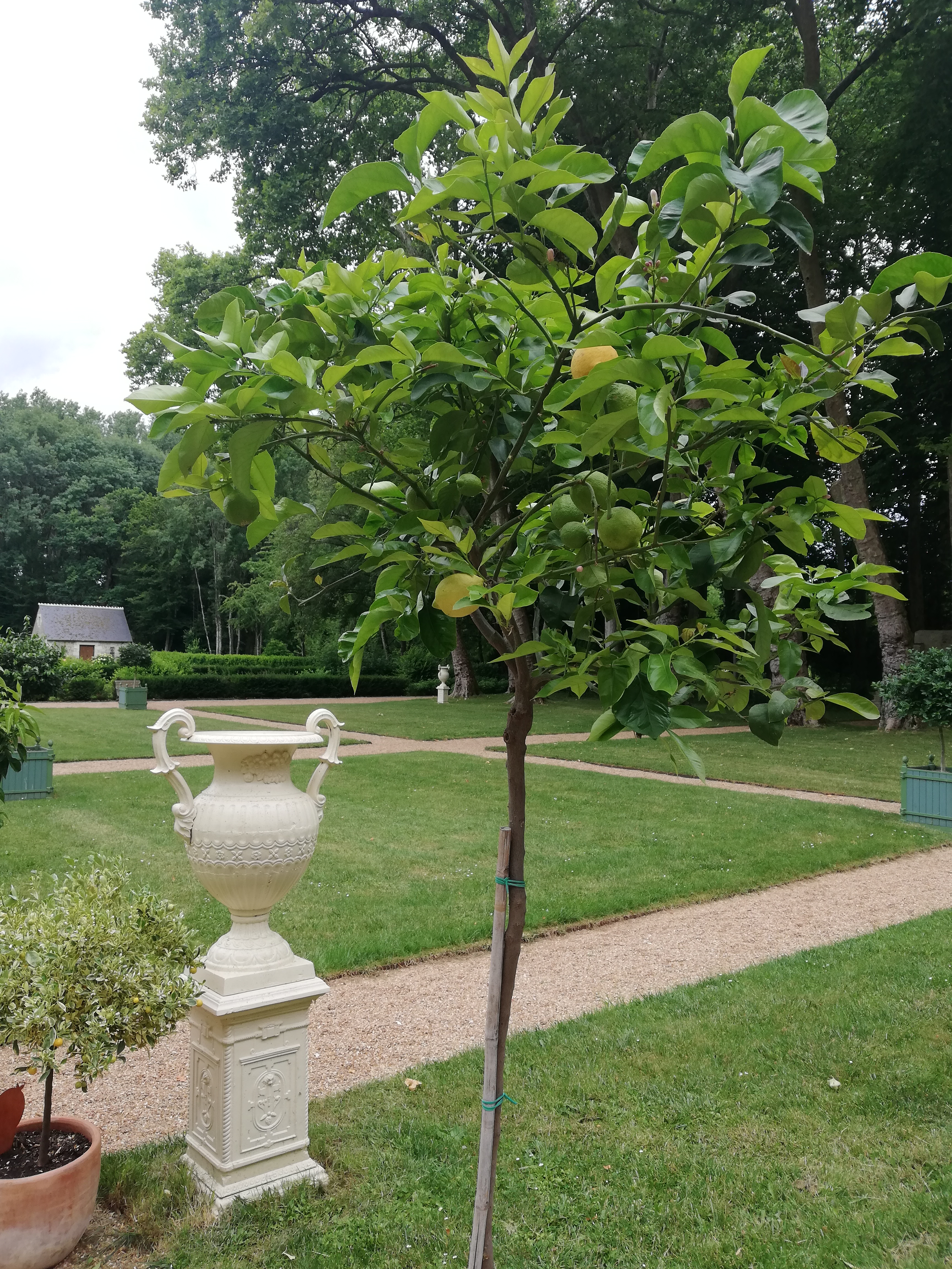 Photo n° 18 de l'avis de Elena.r fait le 13/06/2020 à 12:01