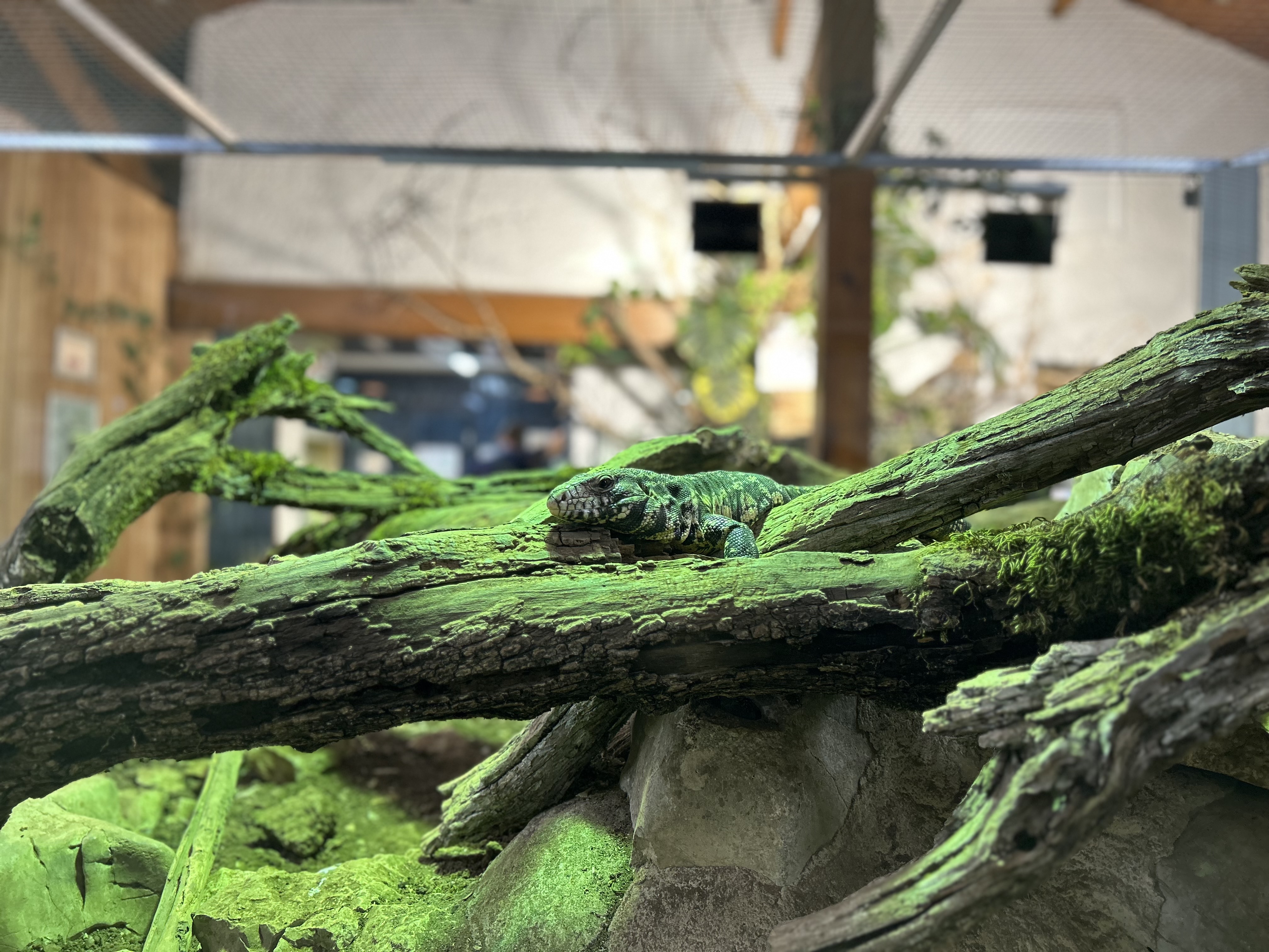 Photo n° 10 de l'avis de chloe.e fait le 26/07/2023 à 15:32