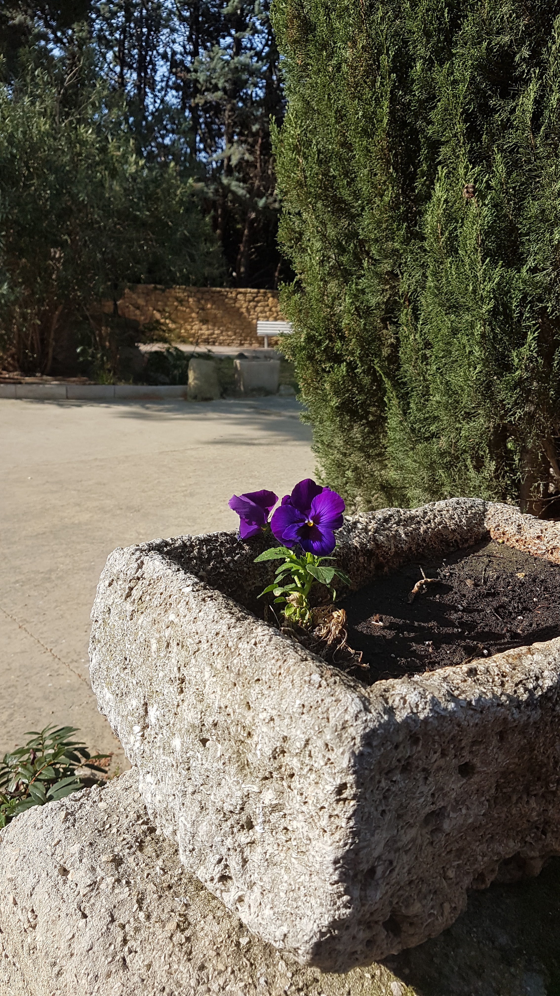 Photo n° 16 de l'avis de sandy.a fait le 22/04/2019 à 08:33