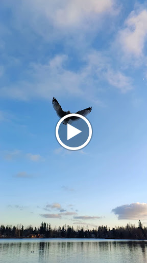 Park «Thornton A. Sullivan Park», reviews and photos, 11405 Silver Lake Rd, Everett, WA 98208, USA