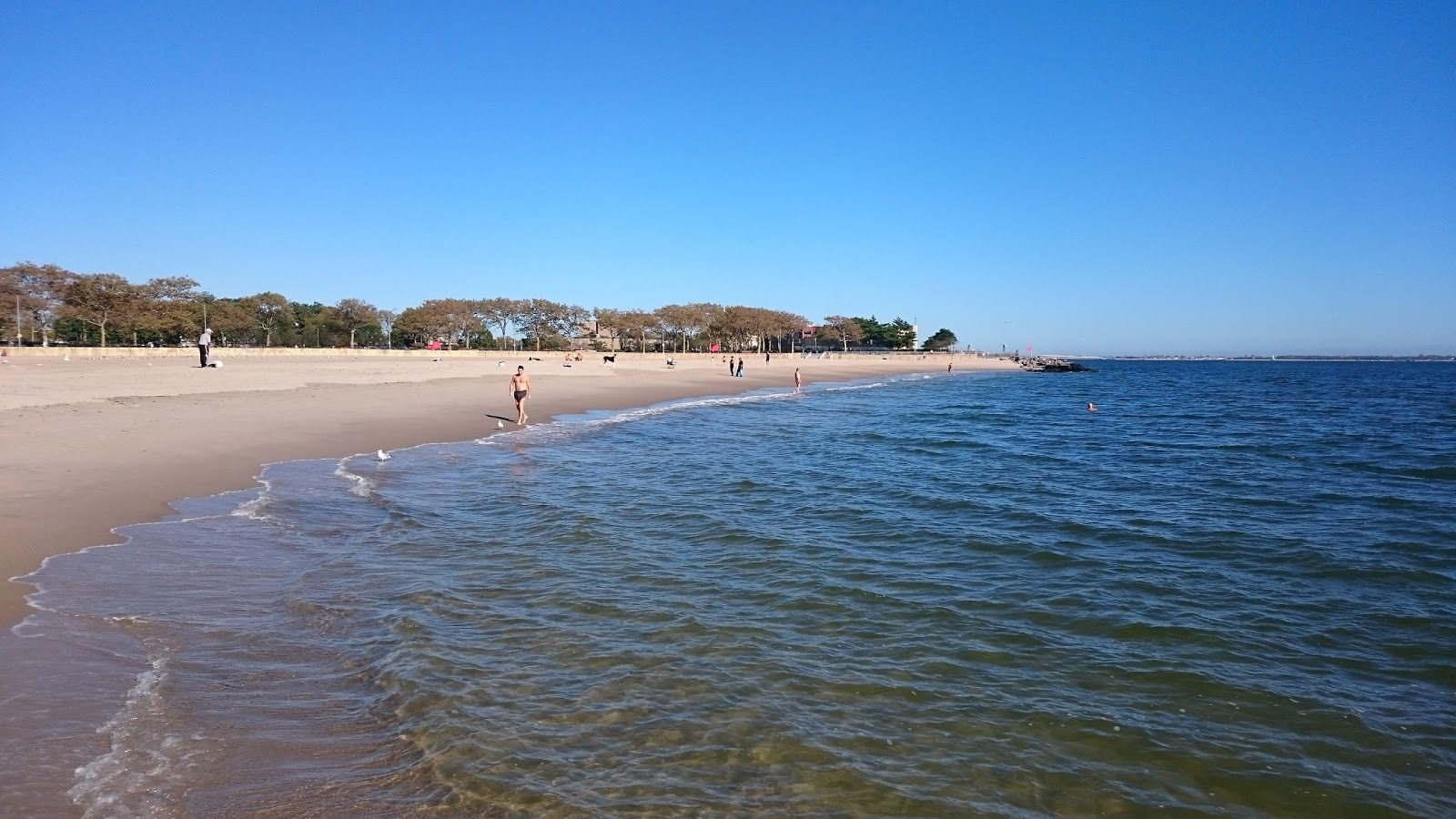 Φωτογραφία του Manhattan Beach με μπεζ άμμος επιφάνεια