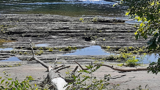 Tourist Attraction «Dinosaur Footprints», reviews and photos, US-5, Holyoke, MA 01040, USA