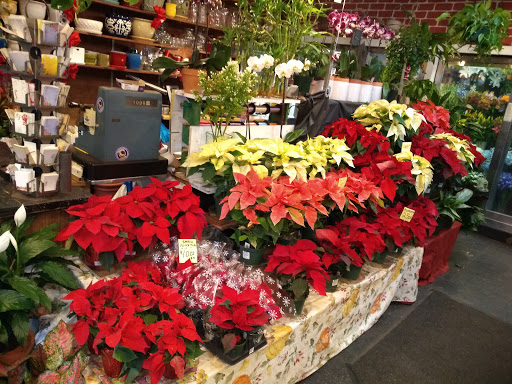 Florist «Sunshine Florist Inc.», reviews and photos, 946 1st Avenue, New York, NY 10022, USA