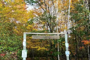 Bethel Haunted Forest image