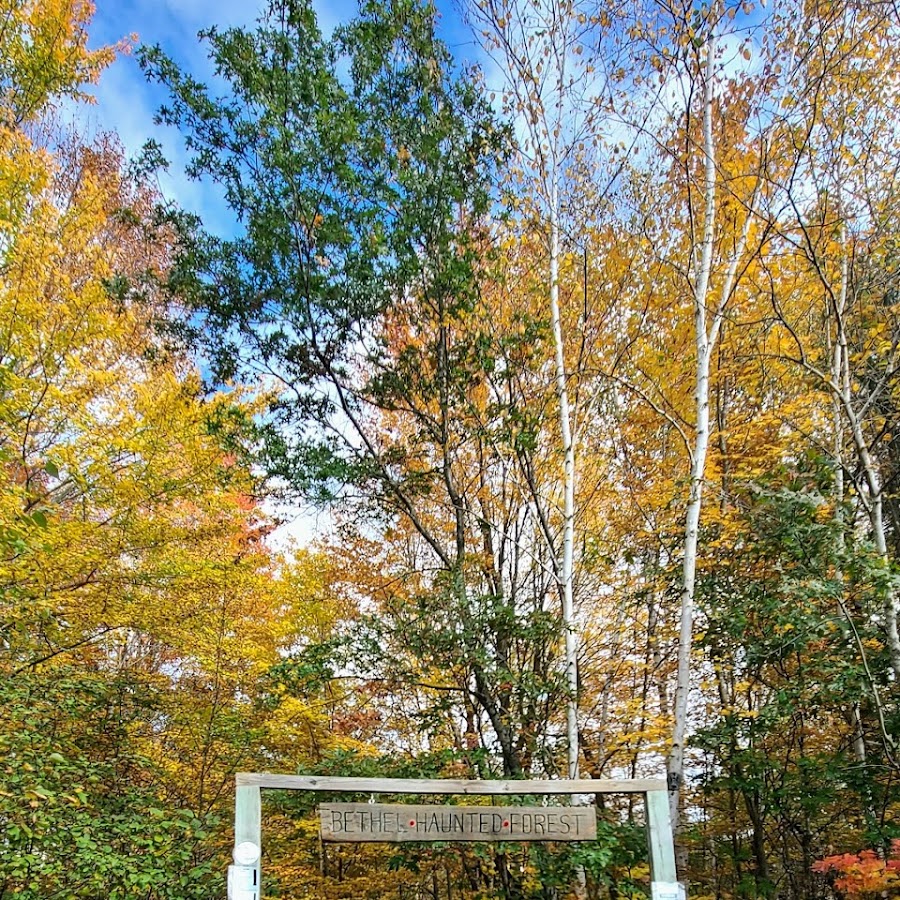 Bethel Haunted Forest