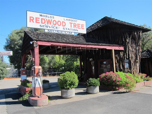 Auto Repair Shop «Redwood Tree Service Station», reviews and photos, 859 N State St, Ukiah, CA 95482, USA