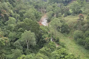 Atugan Bridge image